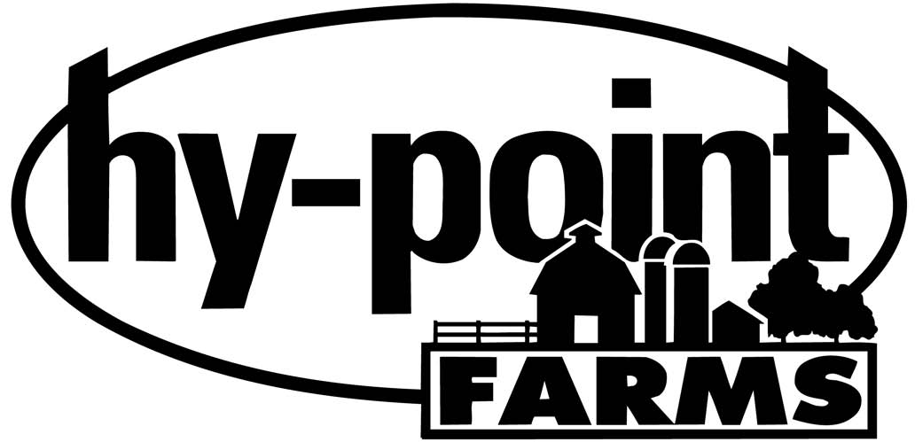 HyPoint Logo